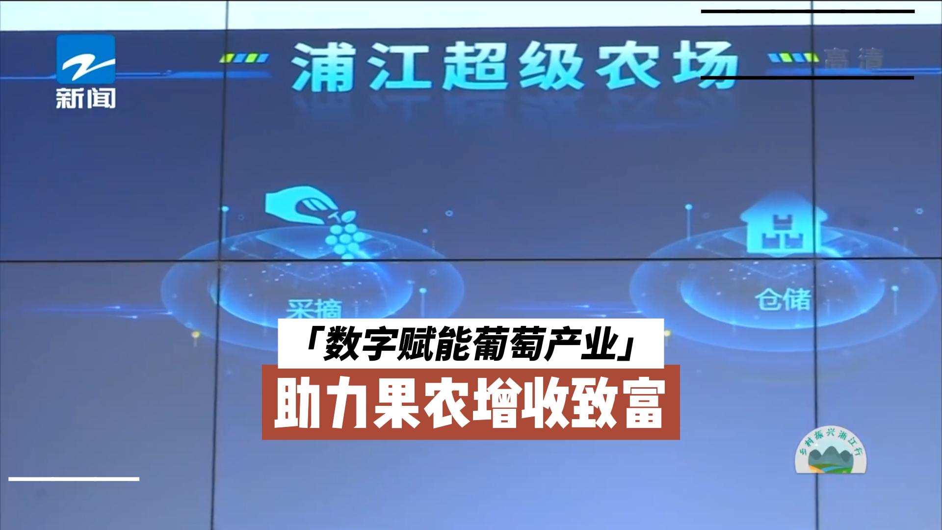 中国蓝新闻报道浦江超级农场，数字化助力葡萄产业致富路——浙江森特经典案例