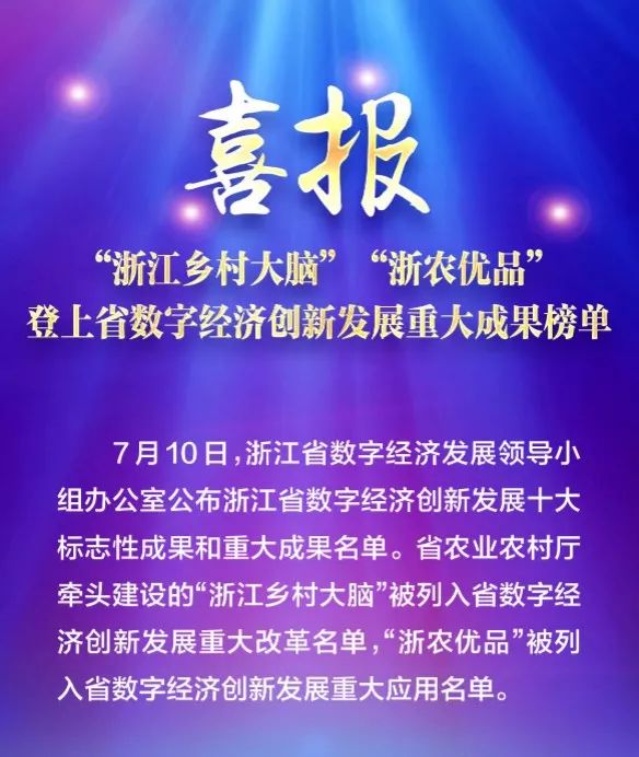 喜报！“浙江乡村大脑”登上浙江省数字经济创新发展重大成果榜单